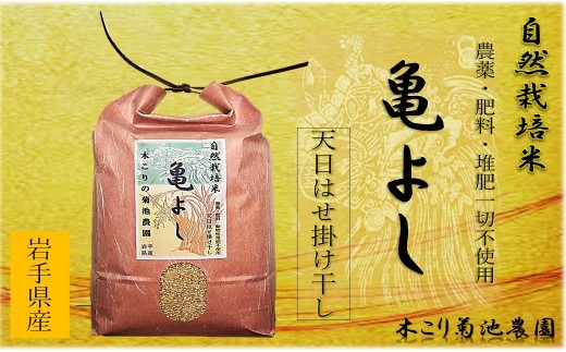 【数量限定】木こりの菊池農園 自然栽培米【亀の尾】(白米・玄米) 10㎏