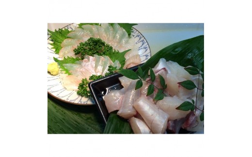 【兵庫県洲本市】A083:淡路島産天然フグの鍋用切り身とヒラメの造りセット