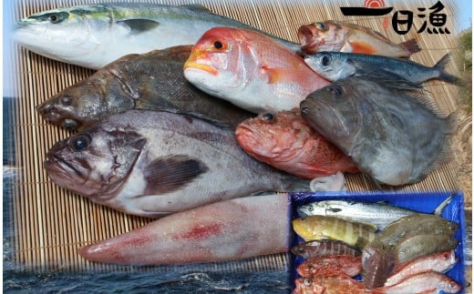 『おおだ一日漁』旬の鮮魚詰め合わせ【島根県産 大田市産 旬 鮮魚 最高級 下処理済 魚 貝 魚介類 海鮮 お楽しみ 詰め合わせ セット 刺身 煮つけ  揚げ物 冷蔵】