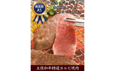 サンプル写真
