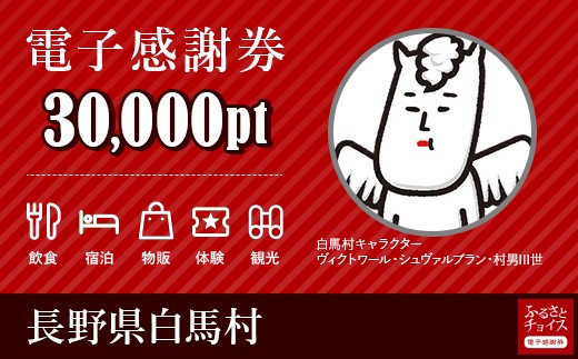 宿泊 食事 レジャーに使える 白馬村 電子感謝券 30 000ポイント 長野県白馬村 ふるさと納税 ふるさとチョイス