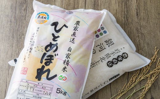 お米 精米【食べ比べセット10kg】ひとめぼれ5kg 銀河のしずく5kg