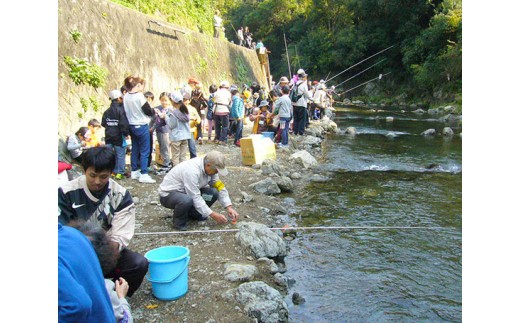 No 028 あまご釣り体験 魚釣り フィッシング 水無瀬川 大阪府 大阪府島本町 ふるさと納税 ふるさとチョイス