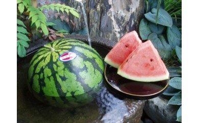 高級 八色原すいか大玉１玉 新潟県南魚沼市 ふるさと納税 ふるさとチョイス