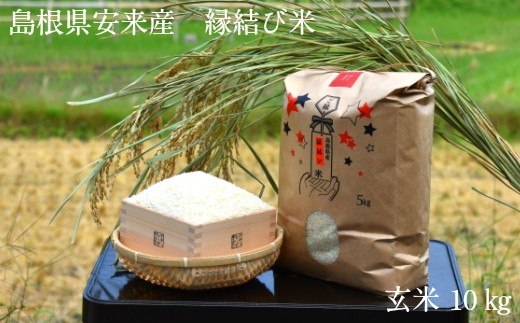 サンプル写真