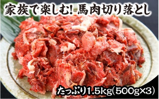 熊本県産犬用馬肉切り落とし　1.5kg 送料込
