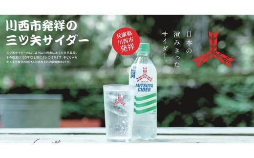 A5 03 三ツ矢サイダーpet500ml 24本 兵庫県川西市 ふるさと納税 ふるさとチョイス