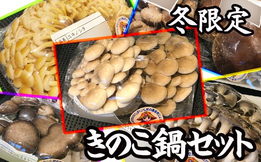 選りすぐりのきのこを発送します!