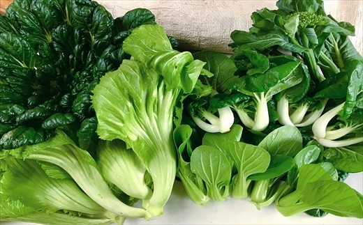 ※写真はイメージです。季節によってセット内容が異なります。