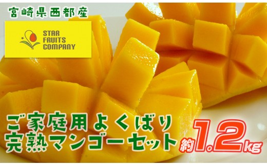 スターフルーツカンパニー】訳あり よくばり完熟マンゴーセット約1.2kg