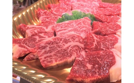 ymyzttn160y[Xēpi260j