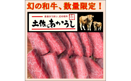 ymyzttn158y[Xēpi220j