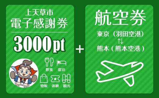 東京 羽田空港 熊本 熊本空港 往復航空券 電子感謝券3 000pt 熊本県上天草市 ふるさと納税 ふるさとチョイス