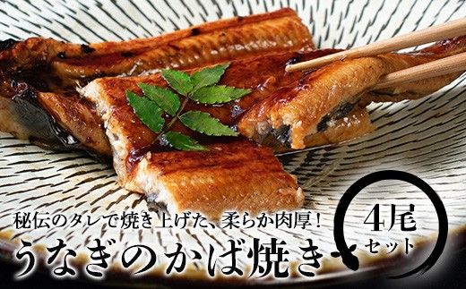 【大分県日田市】Ｂ−３７　秘伝のタレで仕込んだ 厚肉うなぎのかば焼き 4尾 セット 鰻