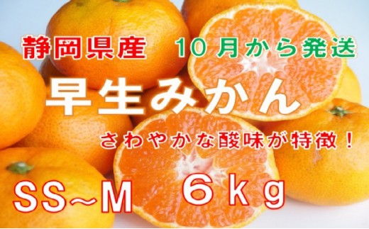 5809 3869 早期予約 21年10月下旬出荷 静岡県産 早生みかん 約6kg 静岡県藤枝市 ふるさと納税 ふるさとチョイス