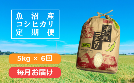 日本一のブランド米「魚沼産コシヒカリ」