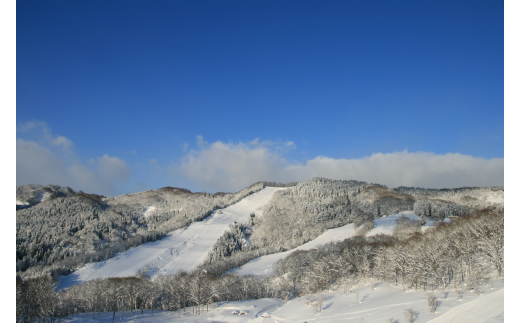 【山形県朝日町】【Asahi自然観】スノーパーク リフト1日券 2025-2026シーズン スキーリフト券 山形県 朝日町 スポーツ スキー場 スキー場リフト券 スキー スノボ