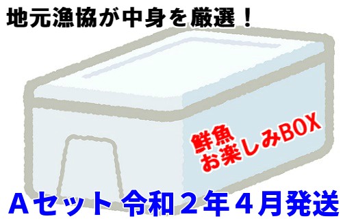 お楽しみセットA ボリューム満点