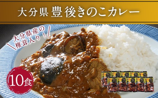 022 331 豊後 きのこ カレー 180g 10食 椎茸 大分県豊後大野市 ふるさと納税 ふるさとチョイス