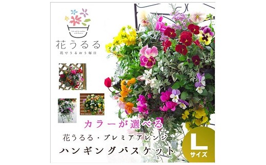 トップ100 花 ハンギング 最高の花の画像