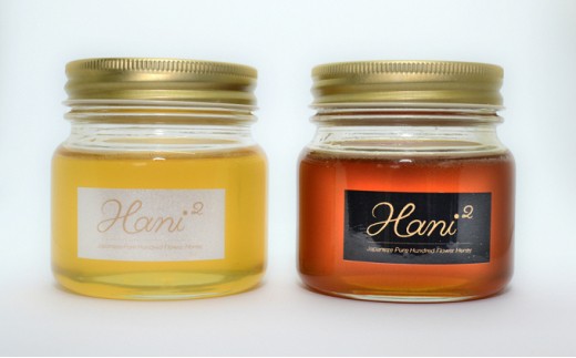 yɌzHani2̖A͔̍|炱I2{