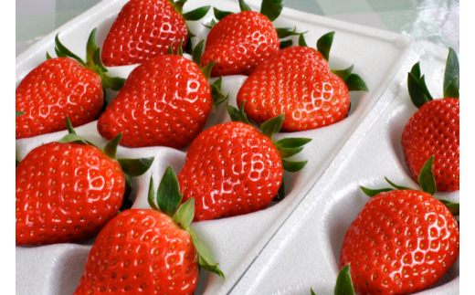 y쌧szMBYuv (300g×4pbN)@yɓߐXp[Nz[5659-1180]