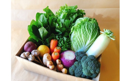 冬野菜