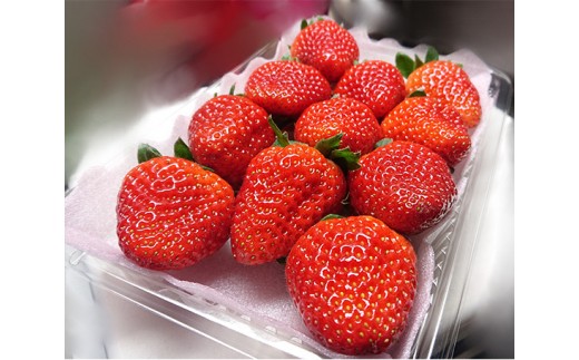 No.069 いちご　古都華　約1kg ／ 果物 フルーツ 苺 イチゴ 奈良県のサムネイル