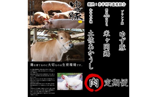 牛豚鶏の共演 奈半利の肉12ヶ月定期便A【A39001】