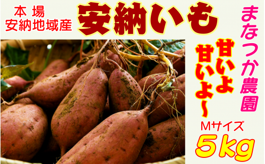 甘くて、美味しい、熟成済みの安納いものお届けになります!