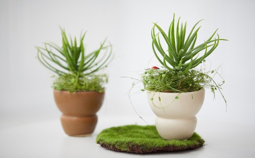 【アートフラワー】空気をきれいにする、観葉植物 小