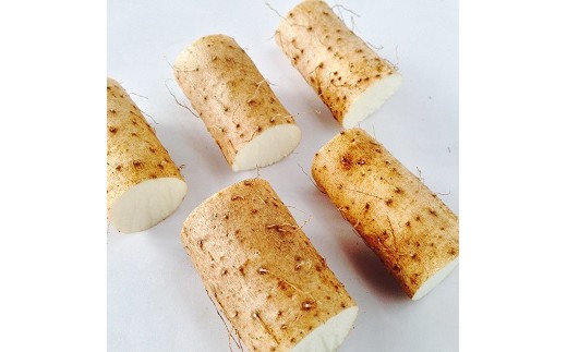 自然薯の種芋 切種芋 5個 予約品 A 22 じねんじょ 芋 山芋 とろろ 家庭菜園 栃木県那須町 ふるさと納税 ふるさとチョイス