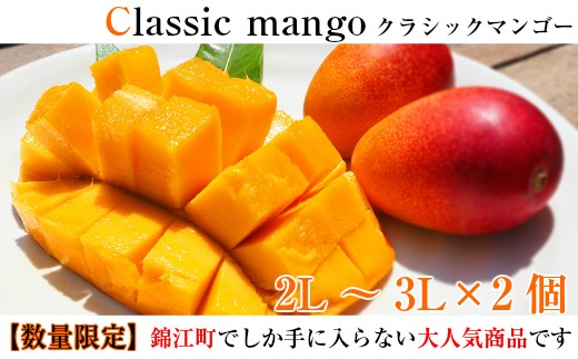 写真だけでよだれが出る甘い完熟マンゴー!
期間限定です!このページを見ている方は運命の出会いだと思って是非食べてみてください!