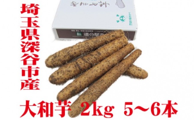 土付き大和芋AA品2kg（5～6本）　【11218-0137】