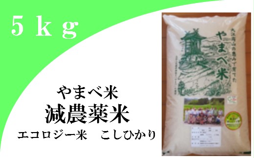 【島根県大田市】A034�B 【玄米】減農薬米（こしひかり100％）５ｋｇ