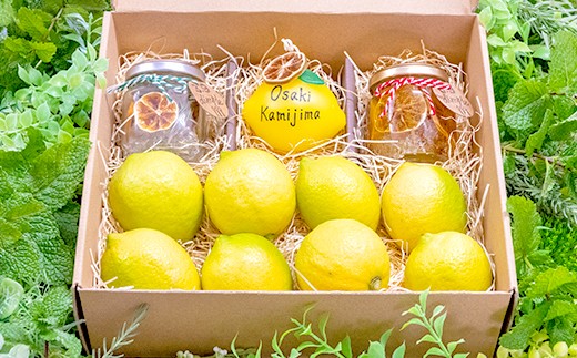 大崎上島産 生果レモン&キャンドルのギフトセット
