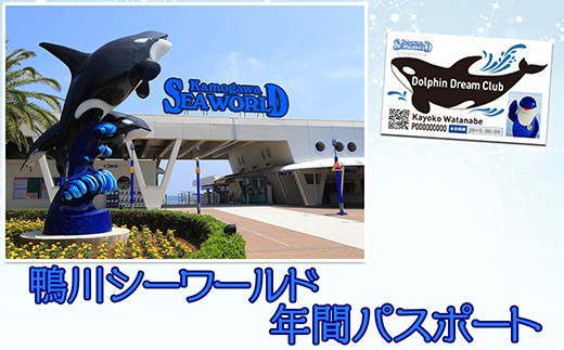 3 9 1 鴨川シーワールド 年間パスポート 大人 高校生以上 千葉県鴨川市 ふるさと納税 ふるさとチョイス