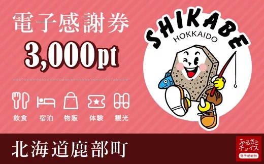 海産物などの特産品のお買物に 鹿部町 電子感謝券 3 000ポイント 北海道鹿部町 ふるさと納税 ふるさとチョイス