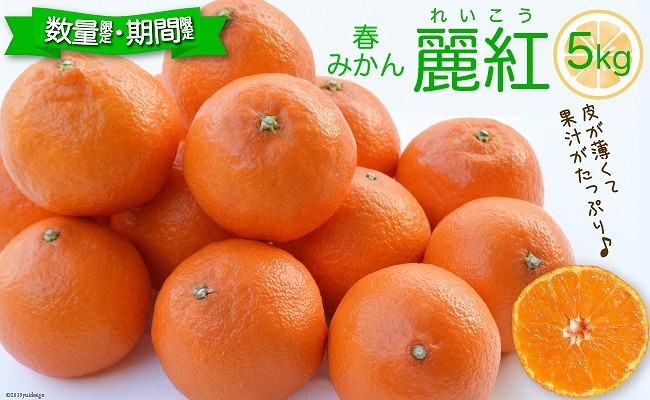 希少品種 麗紅 れいこう 5キロ 柑橘みかん 長崎県雲仙市 ふるさと納税 ふるさとチョイス