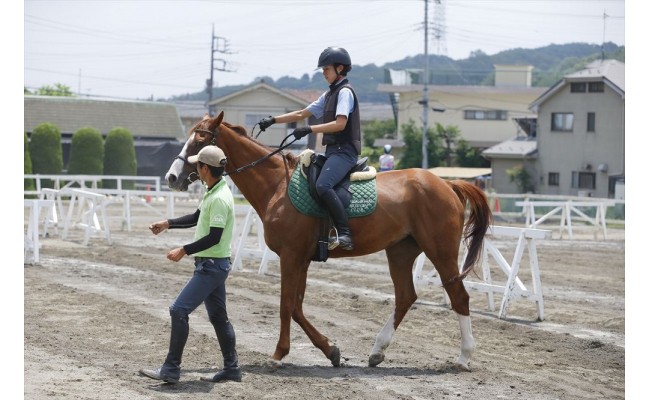 八王子乗馬倶楽部で乗馬の感動を！「乗馬体験」お試し2回コース - 東京