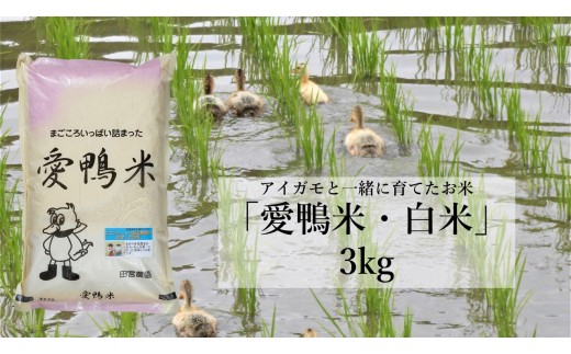 【茨城県行方市】L-6 アイガモと一緒に育てたお米「愛鴨米・白米」3kg