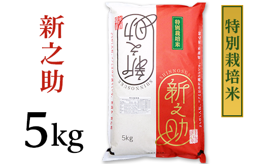 【H30年産】新潟県長岡産新之助5kg(特別栽培米)