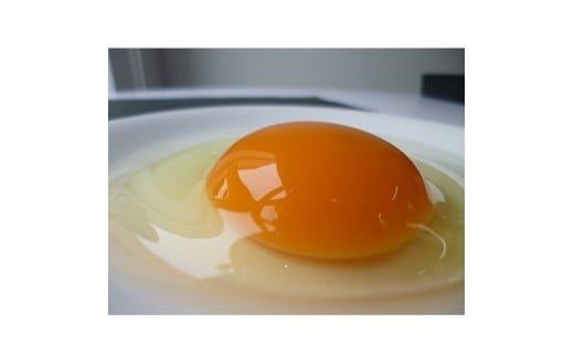 ymszunuhvec}EM܂@ZȖ킢܂@40y1200616z