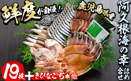 阿久根海の幸詰合せ