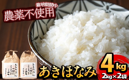 黒毛和牛の究極の手ごねハンバーグ(100g×8個)
