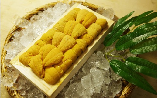 2021年4月受付予定】【期間限定】『天然刺身用』北むらさきウニ120g 