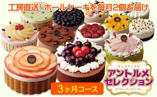 定期便 毎月ケーキが届く アントルメセレクション 3ヶ月コース 愛知県春日井市 ふるさと納税 ふるさとチョイス