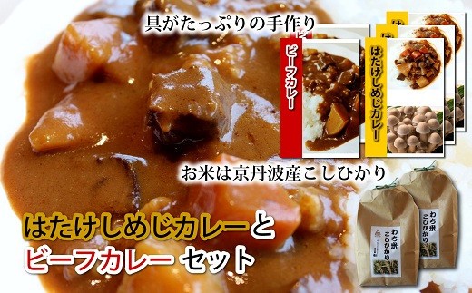 具がたっぷりの手作り特製はたけしめじカレーとビーフカレーセット 010na013 京都府京丹波町 ふるさと納税 ふるさとチョイス