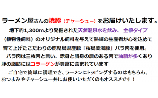 A1 3044 ラーメン屋の焼豚 桜島美湯豚 500g 鹿児島県垂水市 ふるさと納税 ふるさとチョイス