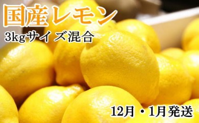 レモン 1kgの人気商品 通販 価格比較 価格 Com